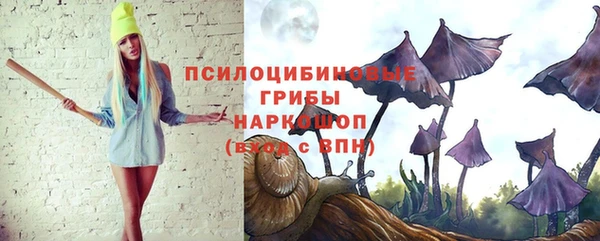 дживик Балахна