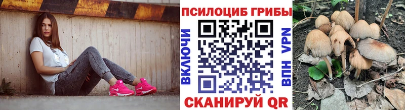 Псилоцибиновые грибы GOLDEN TEACHER  нарко площадка официальный сайт  Семикаракорск 